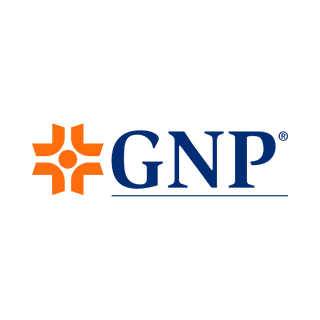 GNP seguros