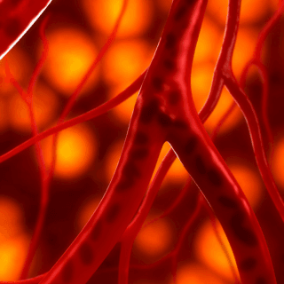 Cirugías menores ambulatorias